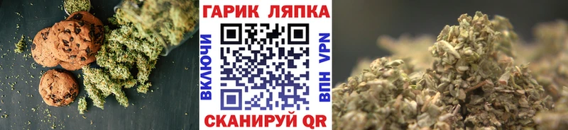 дарнет шоп  Белово  Canna-Cookies конопля 