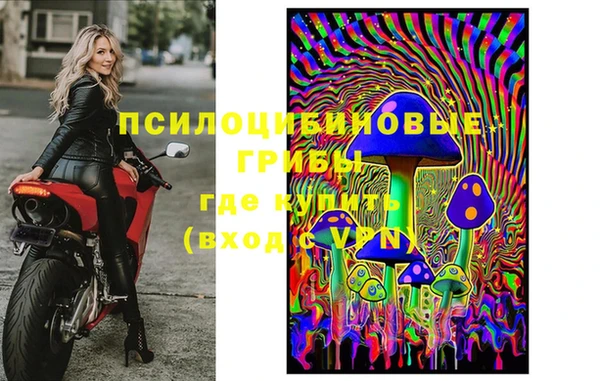 прущие крисы Алапаевск