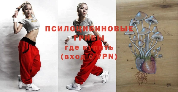 дмт Белокуриха