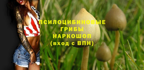 МДПВ Новокубанск