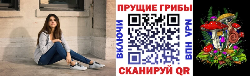Псилоцибиновые грибы Psilocybine cubensis  Белово 